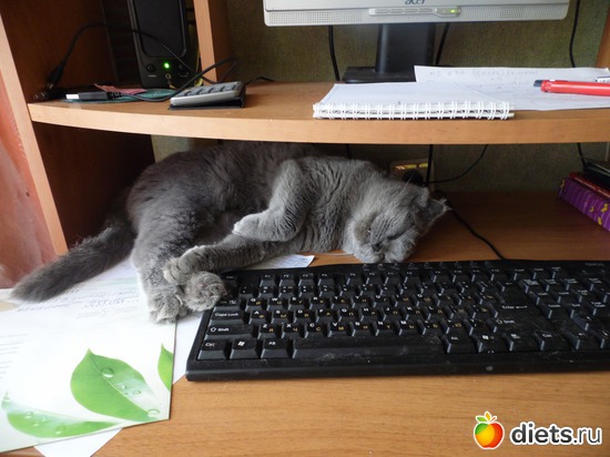 15 ����: ��� ������