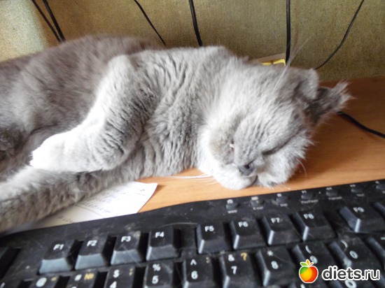 16 ����: ��� ������