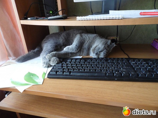 17 ����: ��� ������