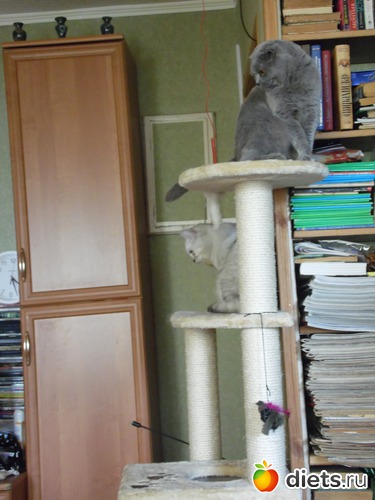 18 ����: ��� ������