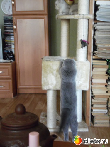 19 ����: ��� ������