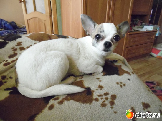 20 ����: ��� ������