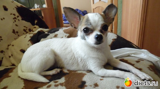 21 ����: ��� ������