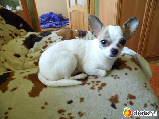 22 ����: ��� ������