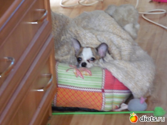 23 ����: ��� ������