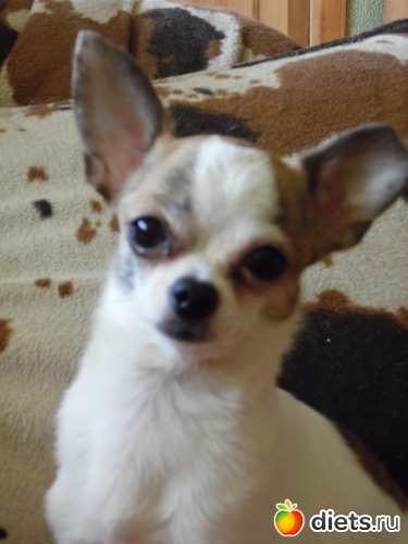 24 ����: ��� ������