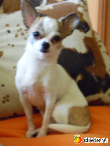 25 ����: ��� ������