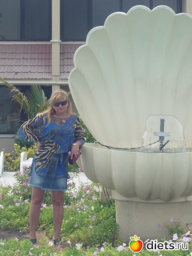 4 ����: ��� 2013