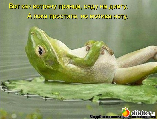 3 ����: �����������