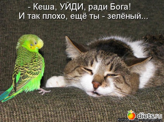 4 ����: �����������