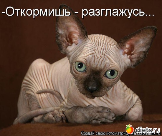 5 ����: �����������