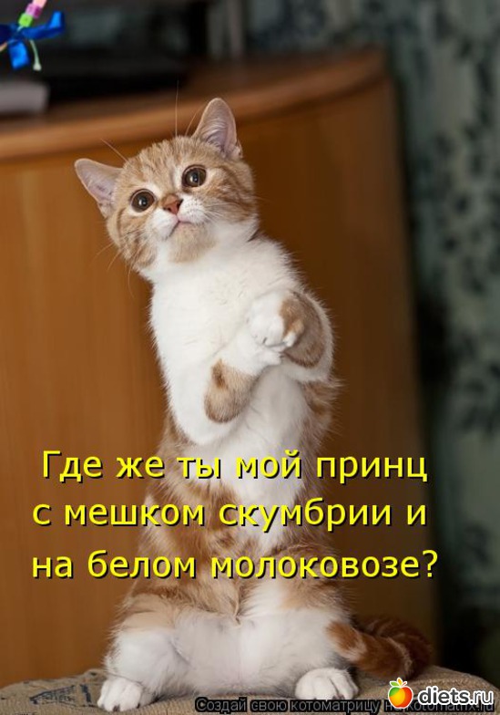 6 ����: �����������