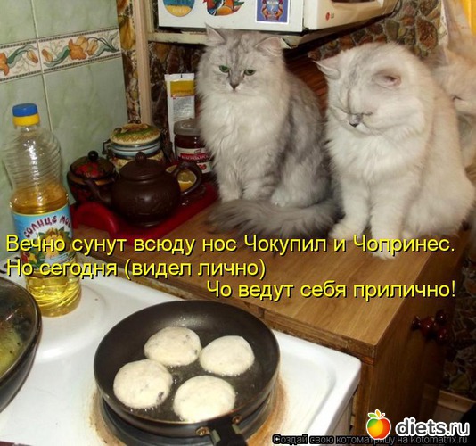 7 ����: �����������