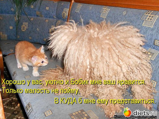 8 ����: �����������