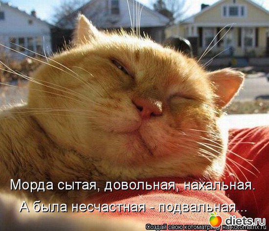 9 ����: �����������