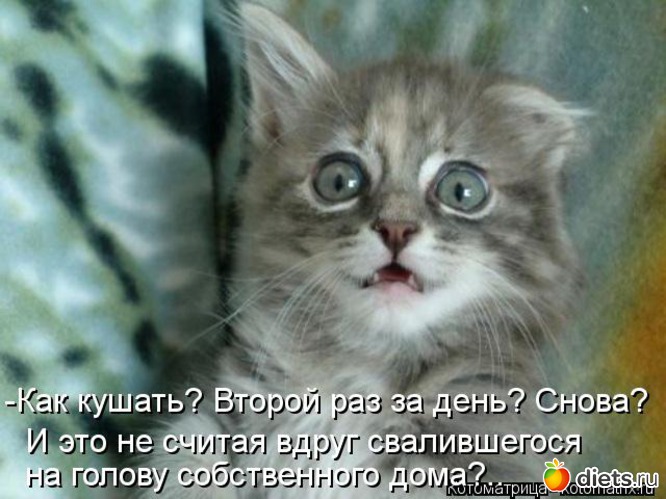 10 ����: �����������