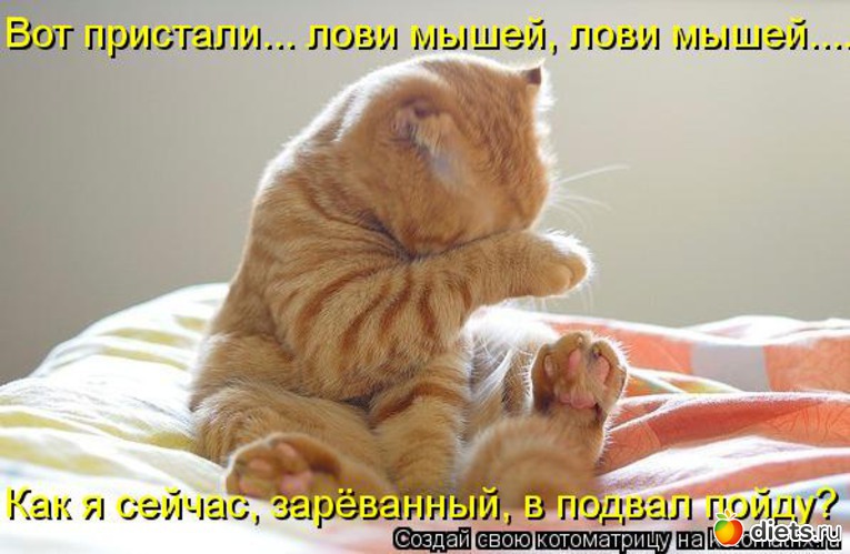 11 ����: �����������