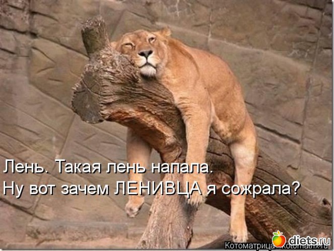 12 ����: �����������