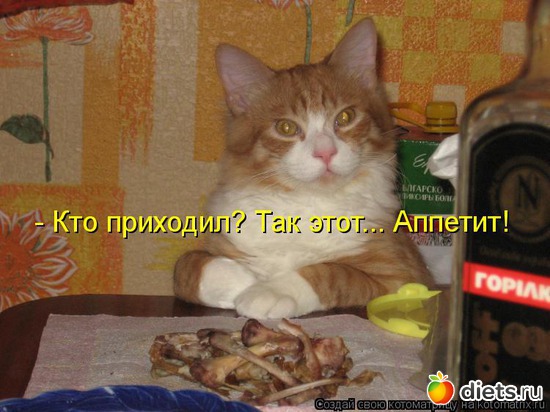 13 ����: �����������