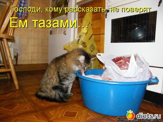 14 ����: �����������