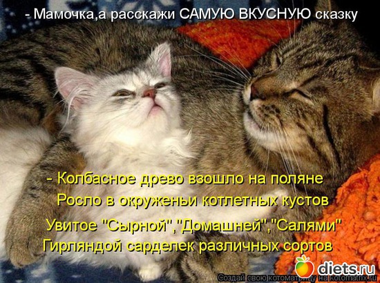 15 ����: �����������