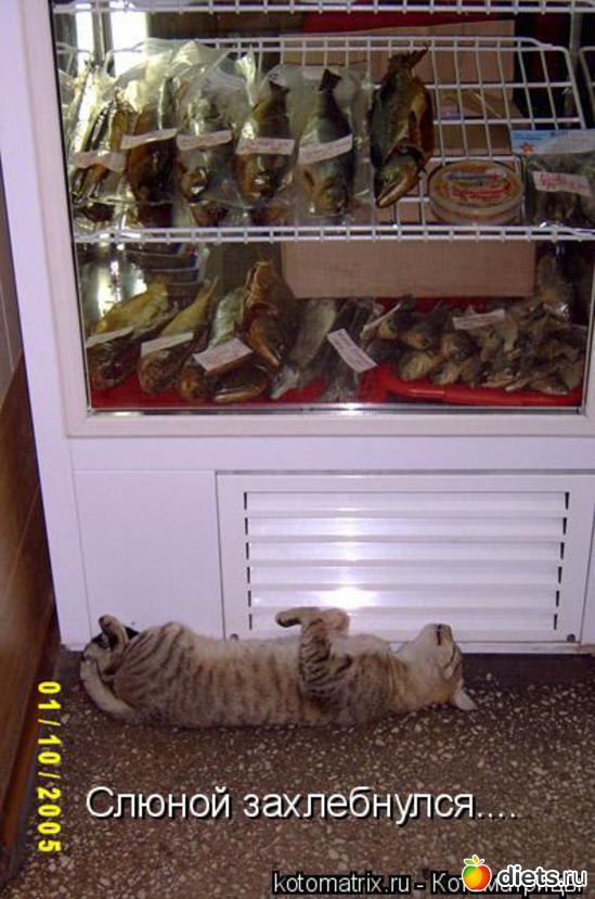 16 ����: �����������