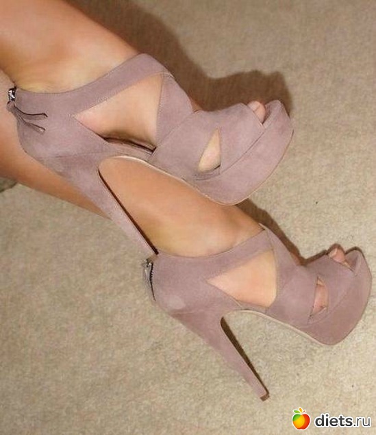 41 ����: ���������