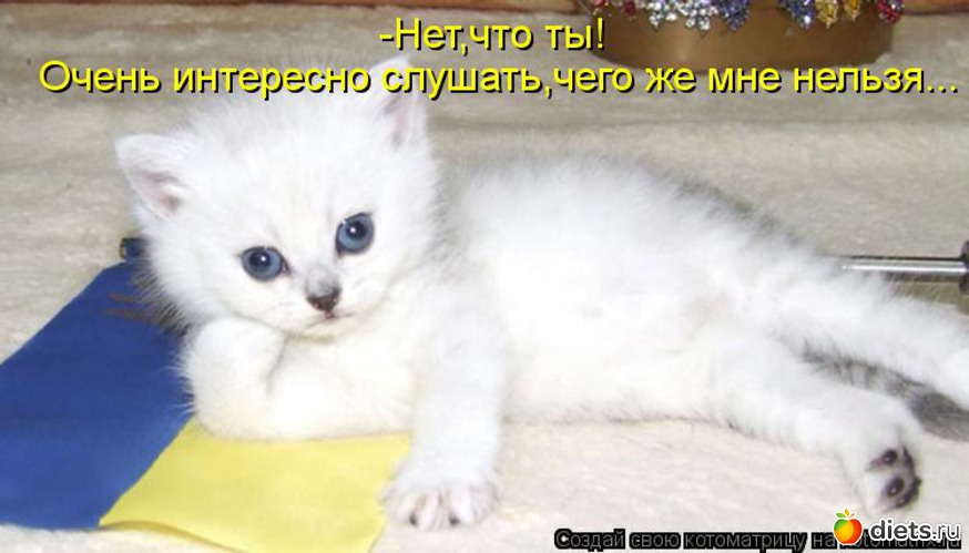 17 ����: �����������