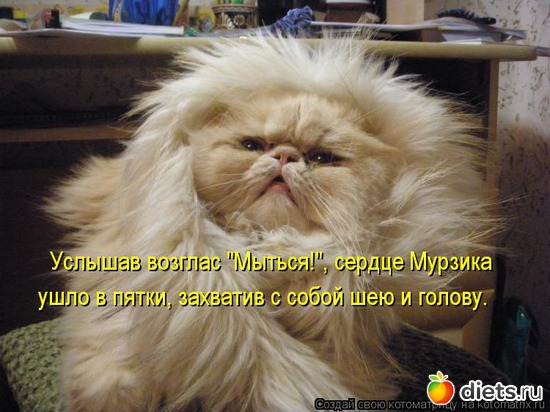 18 ����: �����������