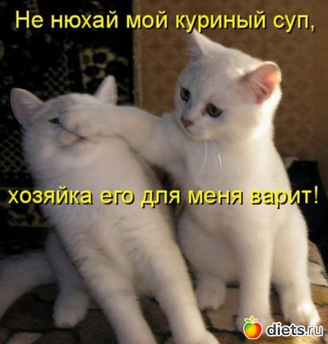 20 ����: �����������