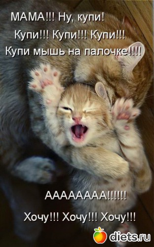 21 ����: �����������