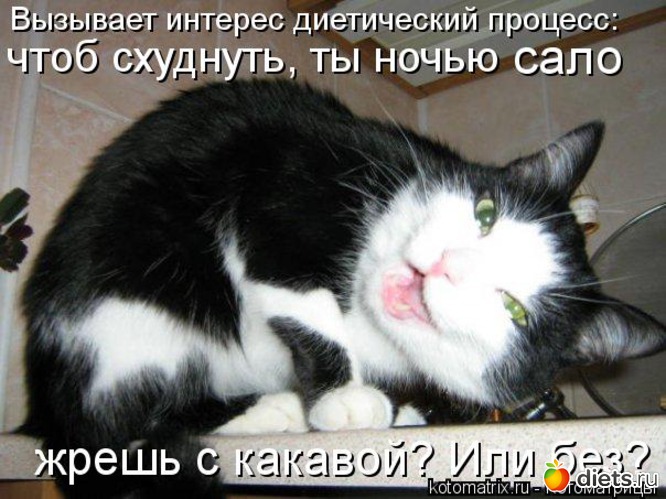 22 ����: �����������