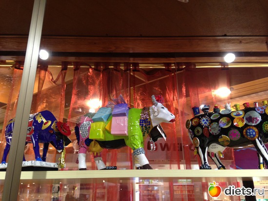 14 ����: ������� 2013