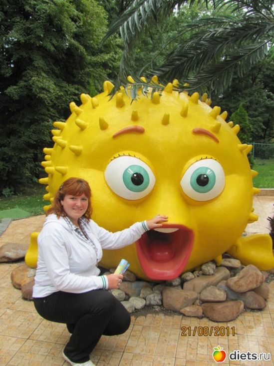 �����-�� ����� 95, ������: ��� ����������