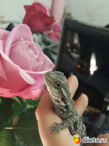 1 ����: ��� ������� �����