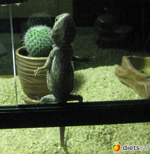 4 ����: ��� ������� �����