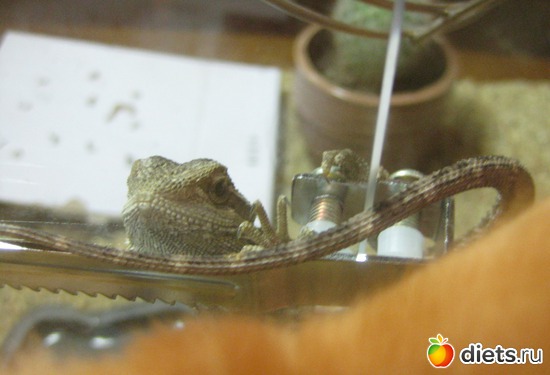 6 ����: ��� ������� �����