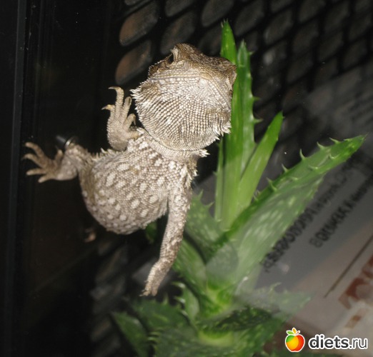 7 ����: ��� ������� �����