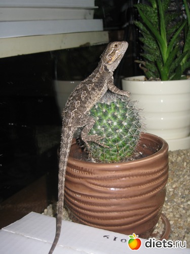 8 ����: ��� ������� �����