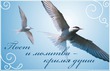 Как проводите свои дни, постящиеся?