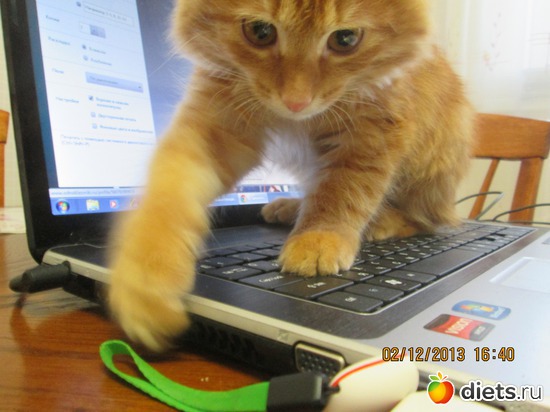 13 фото: Мое рыжее чудо!