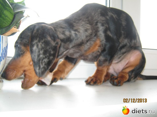 19 ����: ����� 2013 � ������...