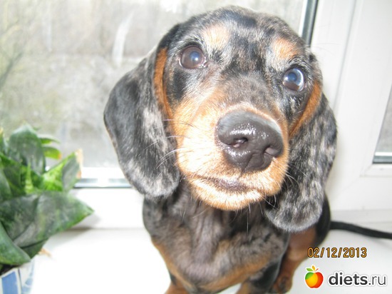 20 ����: ����� 2013 � ������...