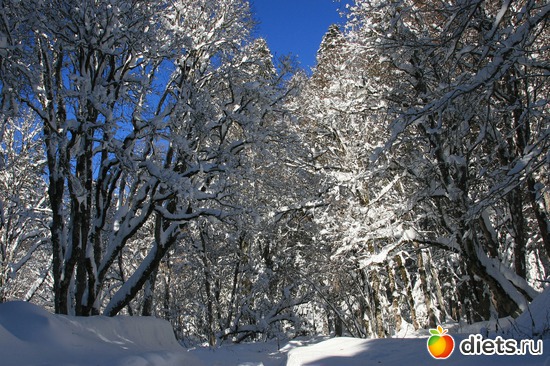 52 ����: ������