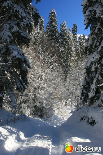 53 ����: ������