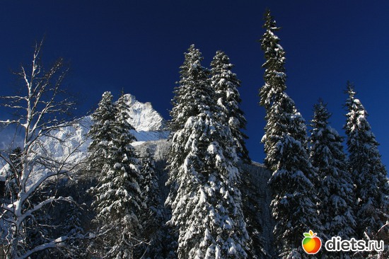 54 ����: ������