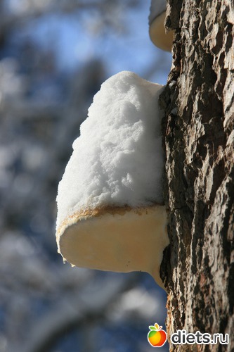 57 ����: ������