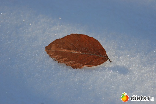 58 ����: ������