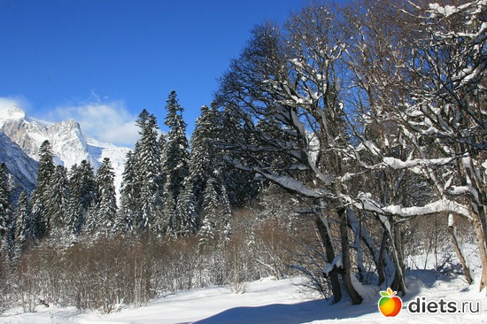 60 ����: ������