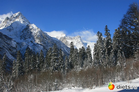 61 ����: ������